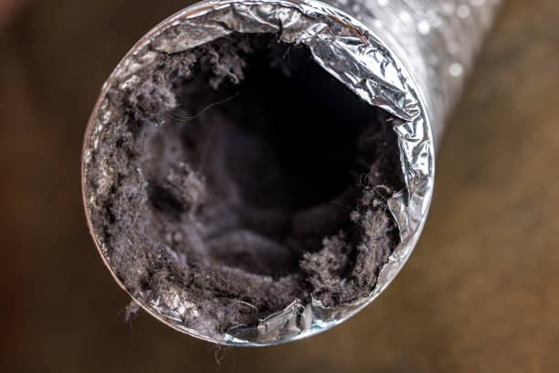 Best Air Duct Cleaning Company Near Me  in Shell Kno, MO